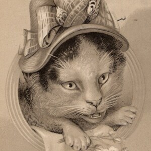 Original 1900s Anthropomorphic Black & White Cat Dressed as Old Lady Postcard - Vintage Victorian Edwardian Litho Kitten Embossed