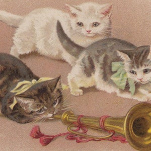 Cartolina originale degli anni 1900 con gatti soriani e trombettista, artista Helena Maguire - Gattino vintage, vittoriano, edoardiano, litografico, cromo, antropomorfo