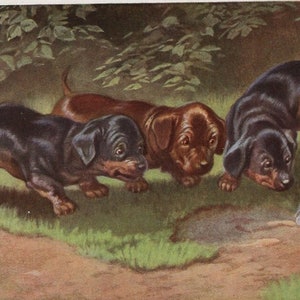 Original 1910er Jahre Dackelwelpen und Zigarrenkünstler signierte illustrierte Postkarte - Antiker Vintage Edwardianischer Hund