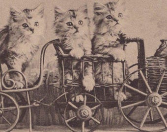 Chatons tigrés originaux des années 1900 sur une carte postale ancienne petit train en osier - études de chat vintage victorien édouardien Landor