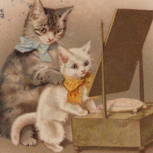 Original 1900s Anthropomorphic Cats & Dressing Mirror Artist Helena Maguire Postcard - Vintage Cat Victorian Edwardian Litho Chromo Kitten