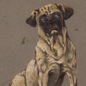 Cartolina illustrata originale del 1900 con firma dell'artista - Cane d'epoca vittoriano edoardiano litografica cromata
