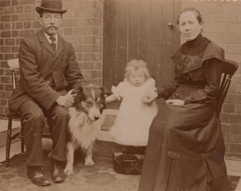 Original 1880s Family & Rough Collie Dog Cabinet Card Photo -  Antique Vintage Victorian Edwardian Sheepdog