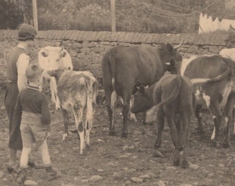 Original 1930s Woman & Boy Feeding Cows Real Photo Postcard - Antique Vintage RPPC Edwardian Victorian Farm Farming