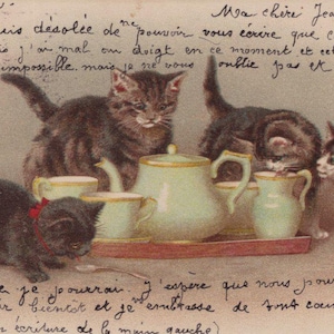 Original 1900s Anthropomorphic Cats Drinking Tea Artist Helena Maguire Postcard - Vintage Kitten Victorian Edwardian Litho Chromo Chat Katze