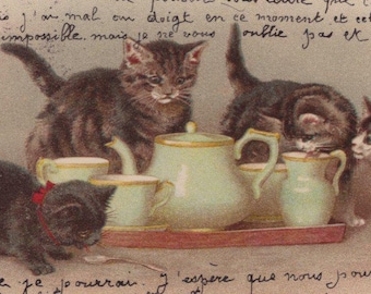 Cartolina originale del 1900 raffigurante gatti antropomorfi che bevono tè, artista Helena Maguire - Gattino vintage, vittoriano, edoardiano, litografico, cromo, chat, gatto