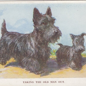 Original 1950er Jahre Scottish Terrier & Puppy Künstler illustrierte Postkarte - Vintage Scottie Scotty Hund