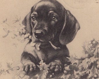 Original 1900s Darling Dachshund Puppy Artist Signed Illustrated Postcard - Antique Vintage Edwardian Dog