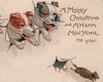 Carte postale illustrée originale Jack Russells chasing a rat des années 1900 - vintage chien victorien édouardien Litho Chromo Carlin Manchester Terrier