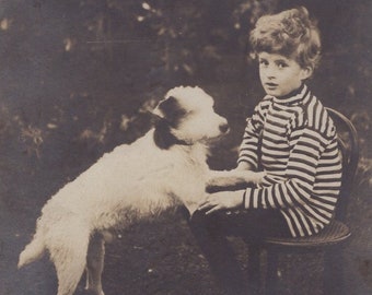 Original 1910s Little Boy & Terrier Real Photo Postcard - Antique Vintage RPPC Edwardian Victorian Pet Dog