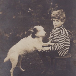 Original 1910s Little Boy & Terrier Real Photo Postcard Antique Vintage RPPC Edwardian Victorian Pet Dog image 1