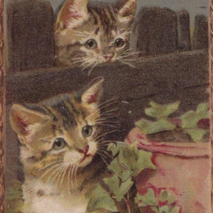Cartolina originale degli anni '900 con gatti di Natale dell'artista Helena Maguire - Gatto vintage vittoriano edoardiano litografico cromo Chat Katze