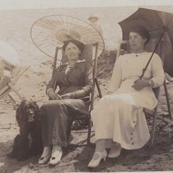 Original 1910s Women & Shaggy Dog on the Beach Real Photo Postcard - Antique Vintage RPPC Edwardian Pet