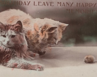Cartão-postal antigo original da década de 1920 com gatos e um rato - Saudações vintage da era eduardiana, colorido à mão.