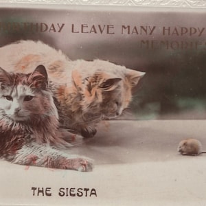 Cartolina fotografica antica originale Gatti con topo degli anni '20 - Saluti edoardiani vintage RPPC colorato a mano