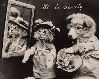 Original 1950s Dressed Up Collie Puppy & Kitten Postcard Antique Vintage RPPC Edwardian Cat Dog Dress Outfit Harry Frees