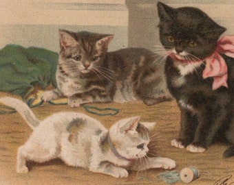 Original 1900s Cats with Threads & Ribbons Artist Helena Maguire Postcard - Vintage Cat Victorian Edwardian Litho Chromo Anthropomorphic