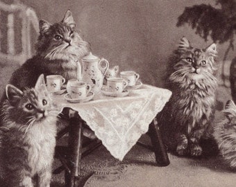 Original 1900s Tiny Tabby Kittens Tea Party Antique Postcard - Vintage Victorian Edwardian Cat