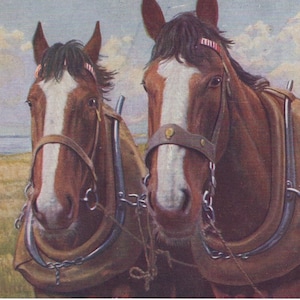 1930s Arbeiten Shire Heavy Horses Künstler signierte antike Postkarte - Vintage Victorian Edwardian