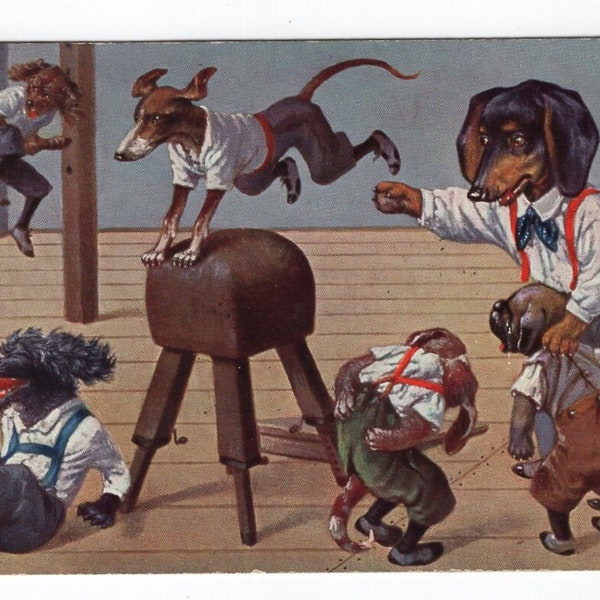 Original 1910s Dachshund Pug Poodle in School Gym Artist Signed Illustrated Postcard - Antique Vintage Edwardian Dog Arthur Thiele