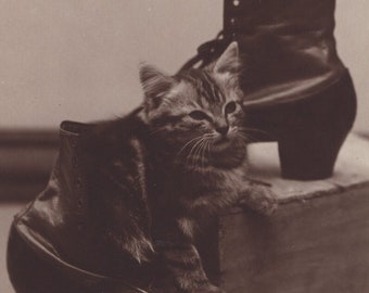 Original 1910s Darling Pet Tabby Kitten & Leather Boots Antique Real Photo Postcard - Vintage Edwardian Cat RPPC