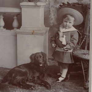 1880s Little Boy & Beautiful Retriever Dog Cabinet Card Photo -  Antique Vintage Victorian Edwardian Gundog Luton England