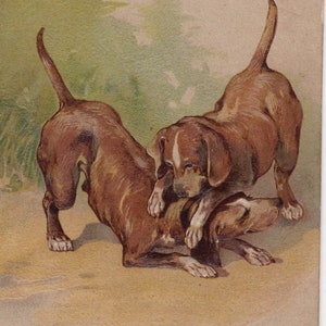 Carte postale illustrée originale Beagles des années 1900 jouant de l'artiste ancien - chiots chiens de chasse victoriens édouardiens vintage