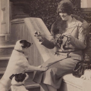 Vraie carte postale photo originale femme des années 1920 et fox terriers lisses - chien de compagnie édouardien RPPC vintage antique