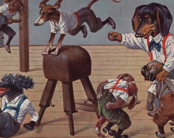Original 1910er Jahre Dackel Mops Pudel in der Schule Turnhalle Künstler signierte illustrierte Postkarte – Antiker Vintage Edwardianischer Hund Arthur Thiele