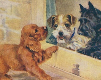 Original 1950s Cocker Spaniel, Scottie & Wire Haired Fox Terrier Puppies Mabel Gear Artist Signed Illustrated Postcard - Vintage Gundog Dog