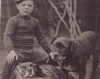 Originele jaren 1900 kleine jongen & twee Pitbulls in een kruiwagen antieke ansichtkaart - Vintage Edwardiaanse Victoriaanse huisdier hond Bulldog