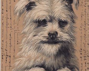 Original 1900s Westie Artist Illustrated Postcard - Antique Vintage Edwardian West Highland White Terrier Scottish Dog