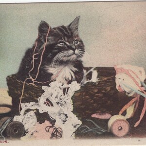 Gattini soriani originali del 1900 in un cestino da cucito cartolina antica - RPPC gatto edoardiano vintage vittoriano