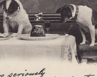 Original 1910s Jack Russell Terriers At The Table With Christmas Pudding Postcard - Vintage Victorian Edwardian Dog