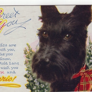 Carte postale illustrée d'artiste antique écossais des années 40 avec un noeud rouge - chien scottie terrier écossais vintage