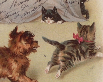 Niegrzeczne koty i psy teriery z lat 1900. Artystka Helena Maguire Pocztówka - Kot w stylu vintage, wiktoriański, edwardiański, chromo-czat, antropomorficzny
