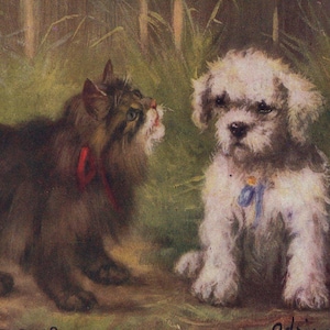 Cartolina illustrata originale del 1910 con gattino persiano e cucciolo di barboncino, firmata dall'artista, antica - Gatto d'epoca vittoriano edoardiano