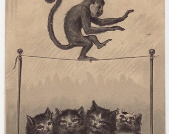 Original Monkey on Tightrope with Kittens Artist Embossed Postcard - Vintage Anthropomorphic Victorian Edwardian Litho Chromo Circus
