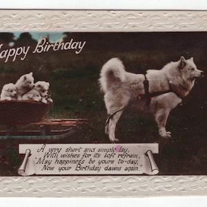 Original 1930s Eskimo Dog & Sled of Puppies Real Photo Postcard - Antique RPPC Vintage Edwardian Spitz Husky Terrier Hand Tinted