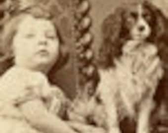 Tracked Shipping upgrade