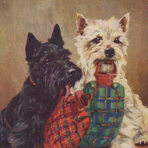 Postal original ilustrada por Mabel Gear de un westie y un terrier escocés de la década de 1940: perro blanco vintage de las Tierras Altas de West Highland Scotty.