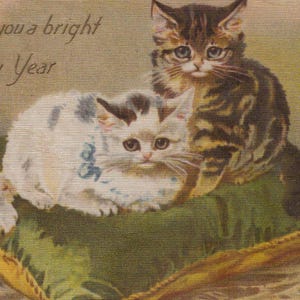 Originale cartolina degli anni 1900 Darling Kittens su un cuscino dell'artista Helena Maguire - Gatto vintage vittoriano edoardiano Chromo Chat Katze