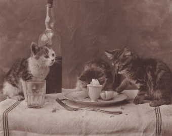 Original des années 1900 Darling Naughty Kittens on the Table Antique Real Photo Postcard - vintage Edwardian Cat RPPC