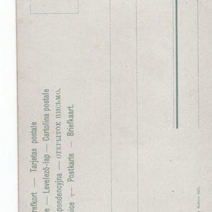 Cartolina antica originale del 1900 con cucciolo di Rough Collie - Cane vittoriano edoardiano d'epoca immagine 2