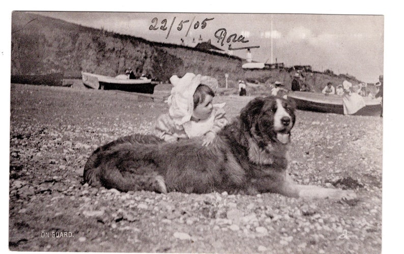 Original 1900s Little Boy & St Bernard on the Beach Antique Postcard Vintage Victorian Edwardian Dog image 1