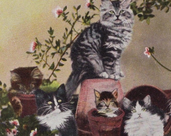 Original 1900s Darling Kittens in Flower Pots Antique Postcard - Vintage Victorian Edwardian Tabby Cat