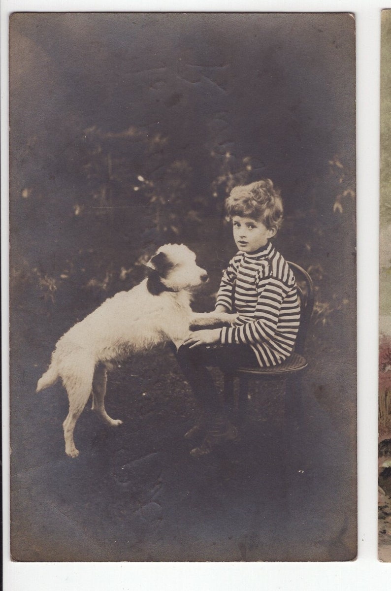 Original 1910s Little Boy & Terrier Real Photo Postcard Antique Vintage RPPC Edwardian Victorian Pet Dog image 1