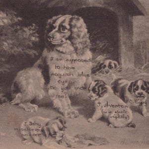 Postal original ilustrada por Helena Maguire de un spaniel y sus cachorros de la década de 1900: perro vintage victoriano eduardiano