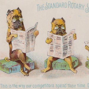 Pugs originales del siglo XIX leyendo el periódico. Publicidad de máquinas de coser victorianas. Tarjeta cromada.