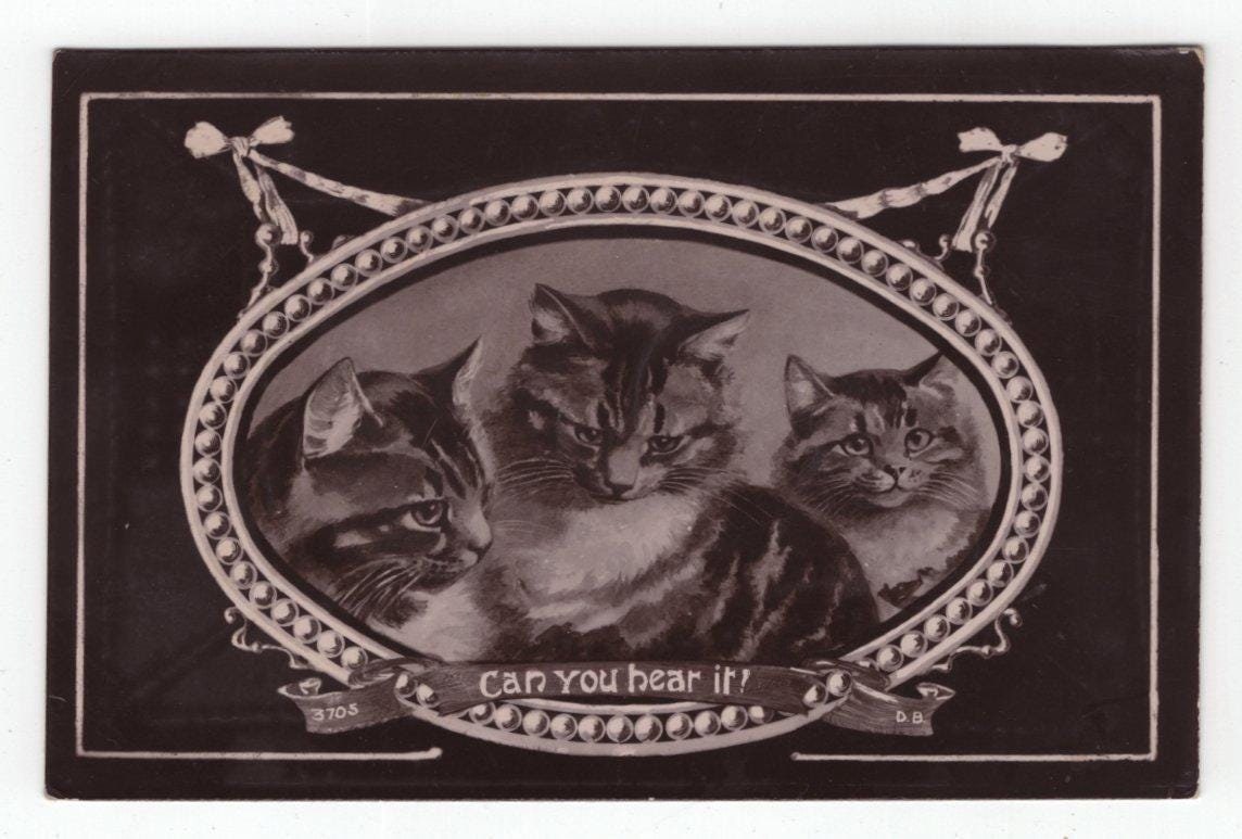 1900年代のオリジナルかわいいトラ猫のアンティークアーティスト